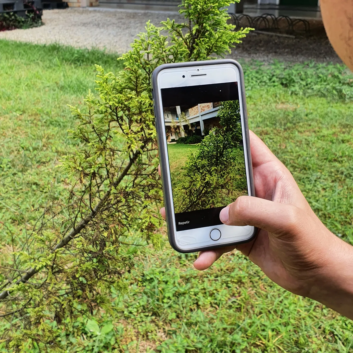 Estudantes participantes do Desafio Mundial da Natureza Urbana receberão certificado de Atividade de Extensão