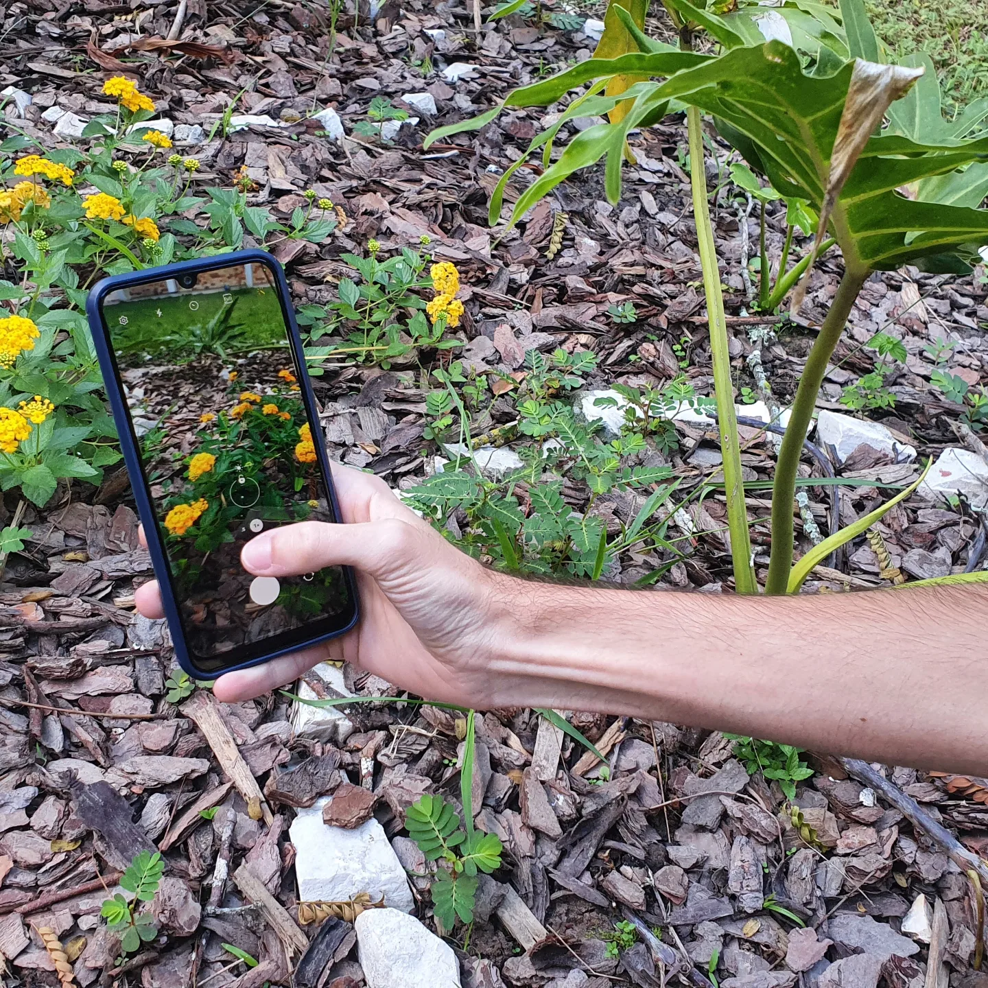 UNIFEBE participará do desafio Grande Biobusca do Hemisfério Sul