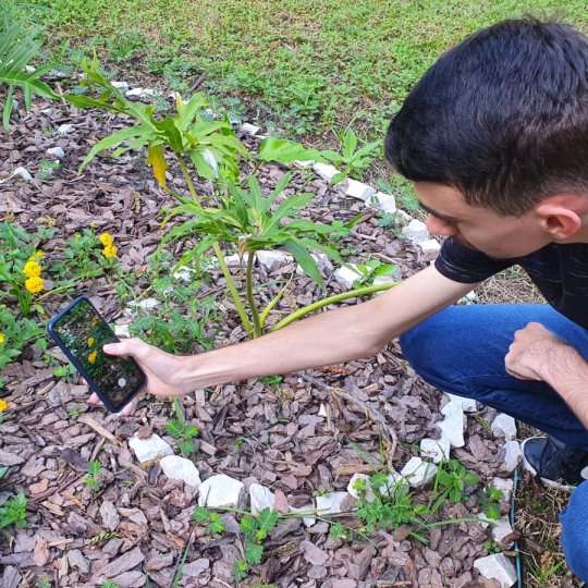 010 - Foto de Nicolas , Tirada por Tamily Roedel, em Brusque - SC, Brasil