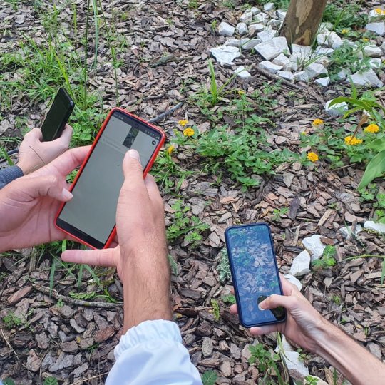 011 - Foto de Nicolas, Tulio e Guilherme, Tirada por Tamily Roedel, em Brusque - SC, Brasil