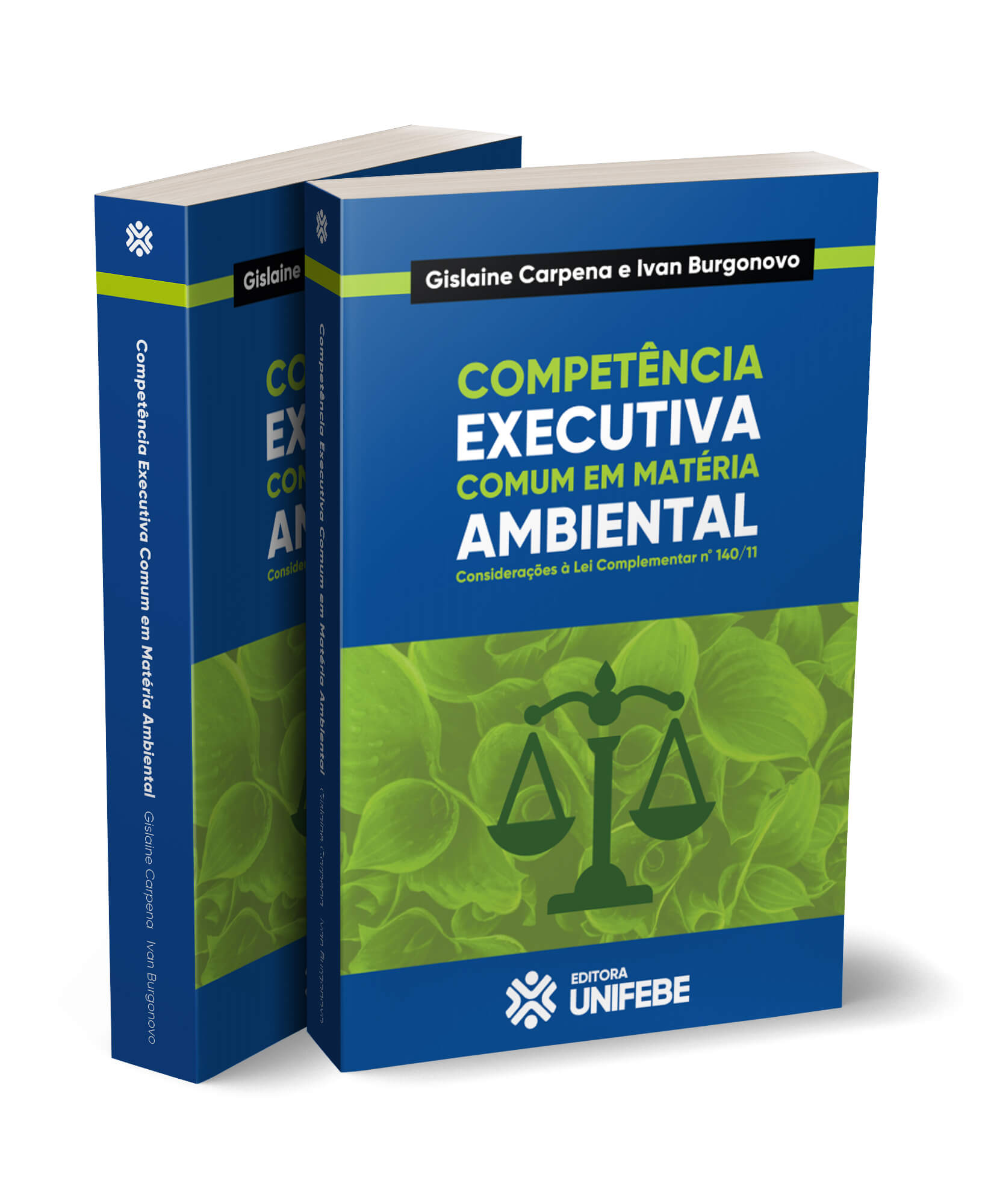 competência executiva comum