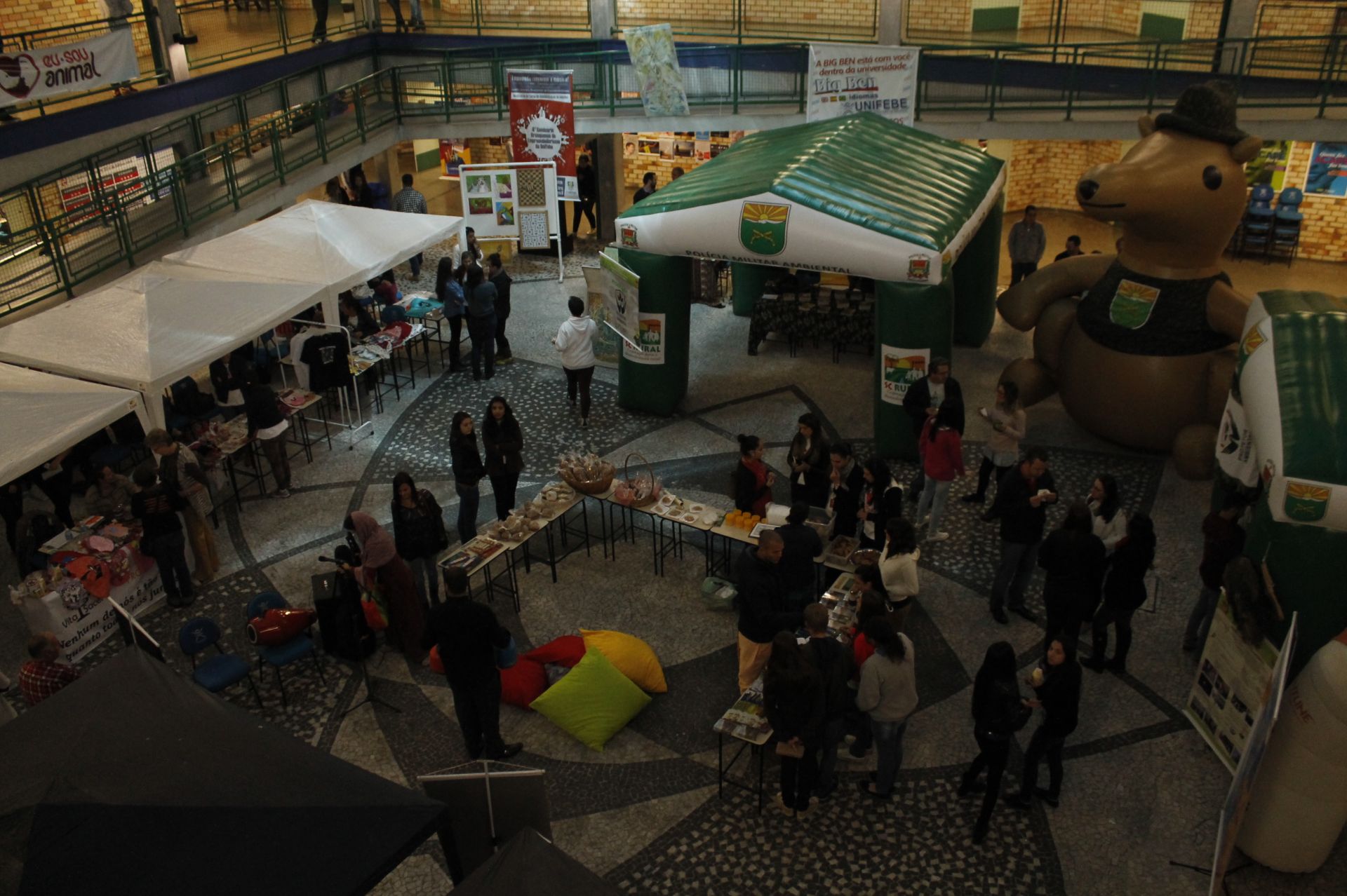 Evento sobre causa animal movimenta acadêmicos e comunidade na UNIFEBE