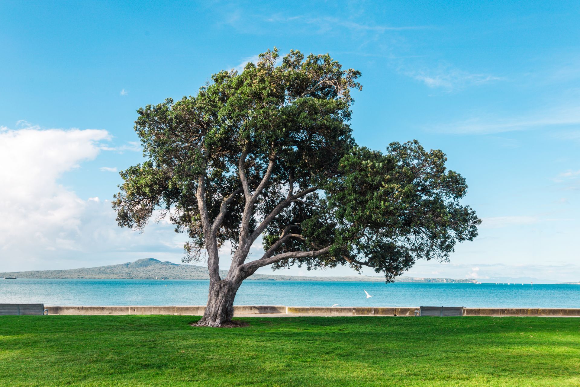 UNIFEBE participa de reunião sobre projeto de ambientalização e sustentabilidade