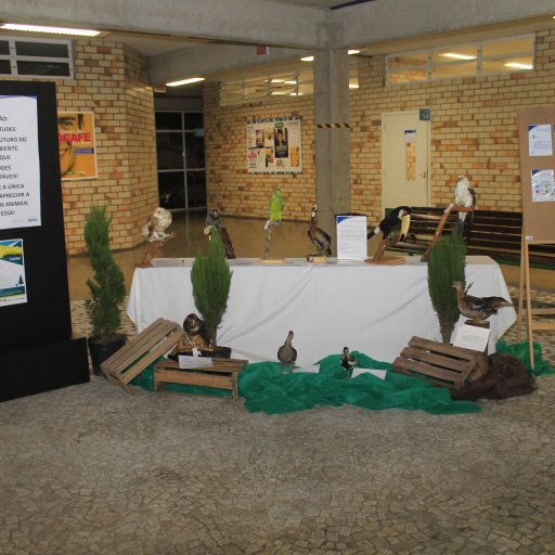 semana-meio-ambiente (24)