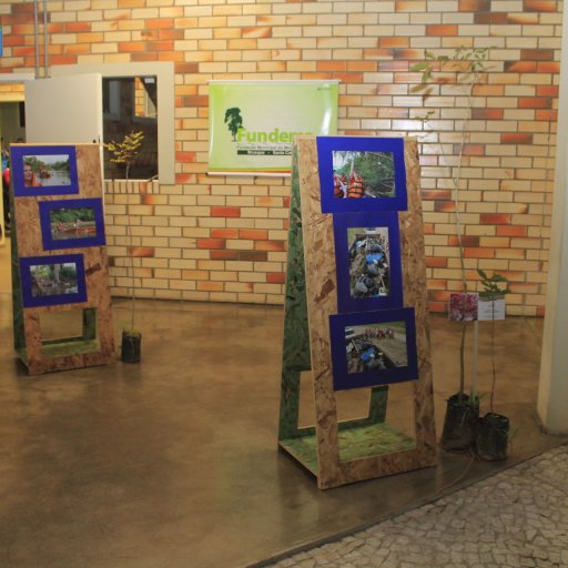 semana-meio-ambiente (8)