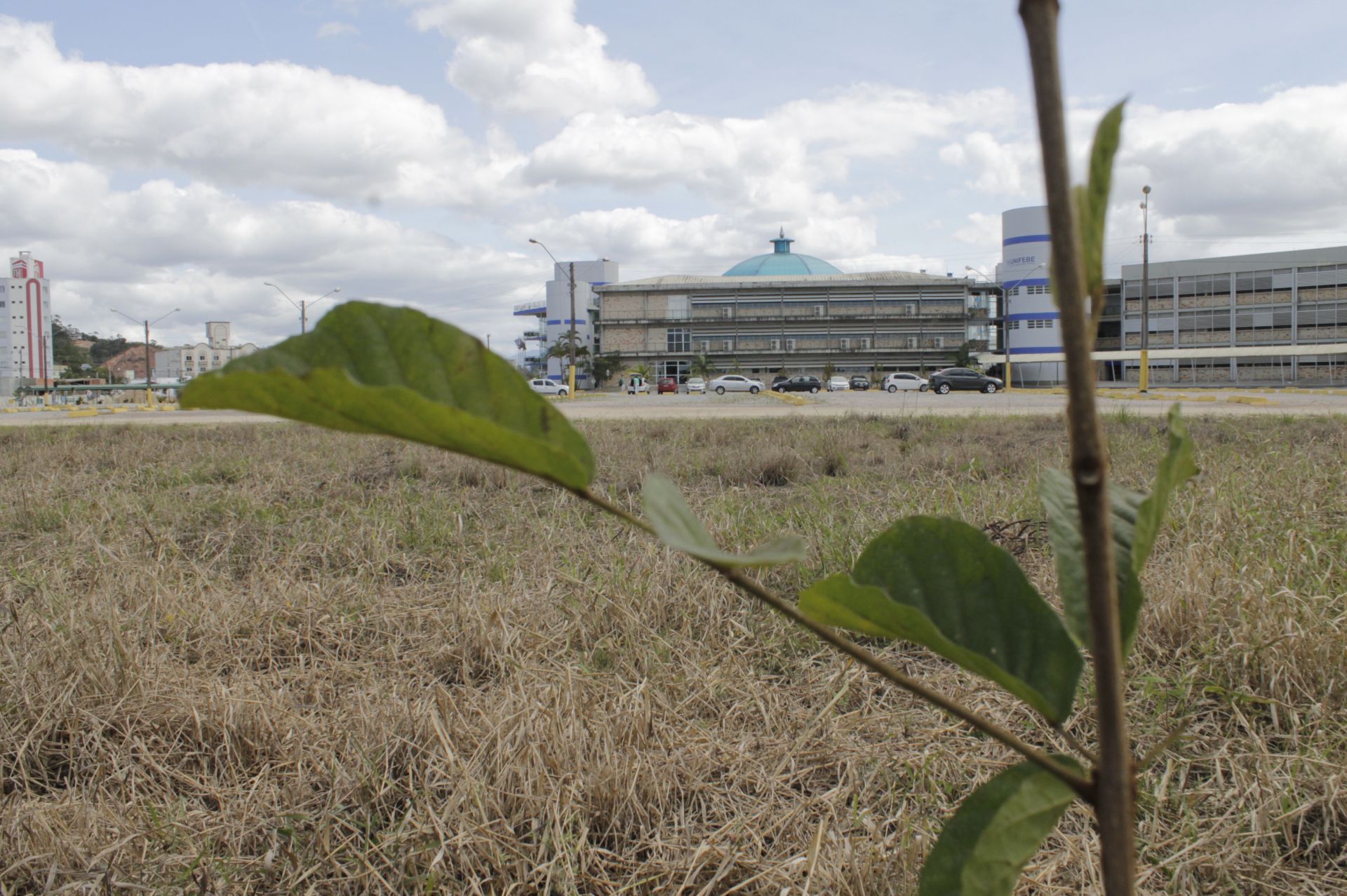 Professores publicam artigo sobre ações de sustentabilidade
