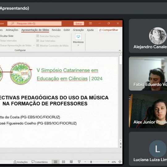 Captura de tela 2024-11-15 211706 (1)