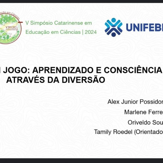 Captura de tela 2024-11-15 213626