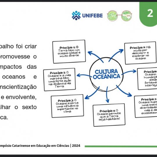 Captura de tela 2024-11-15 213733