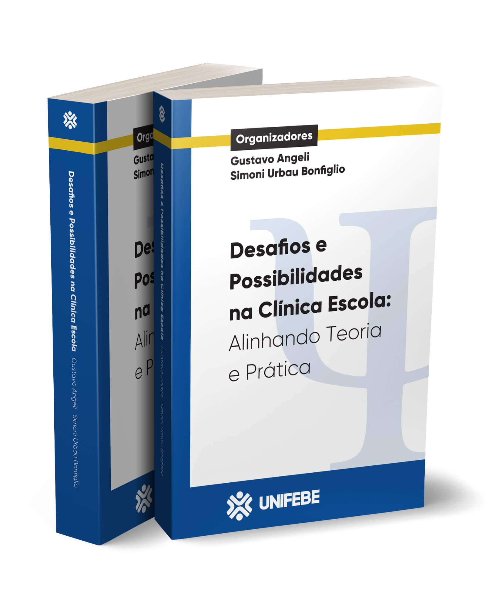 desafios e possibilidades