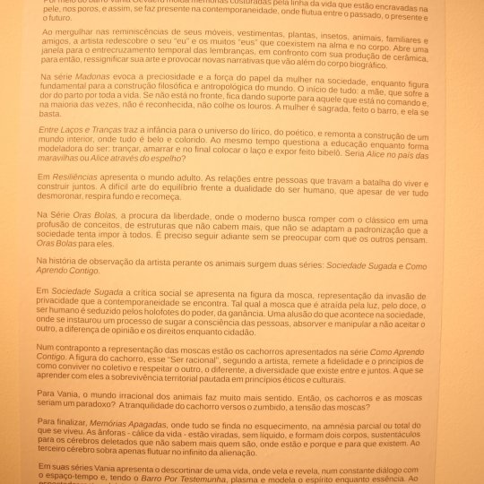 IMG-7347