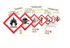 ficha de segurança
