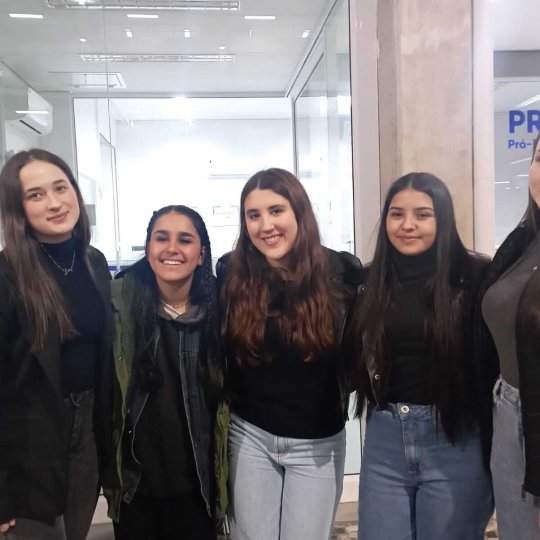 grupo 6