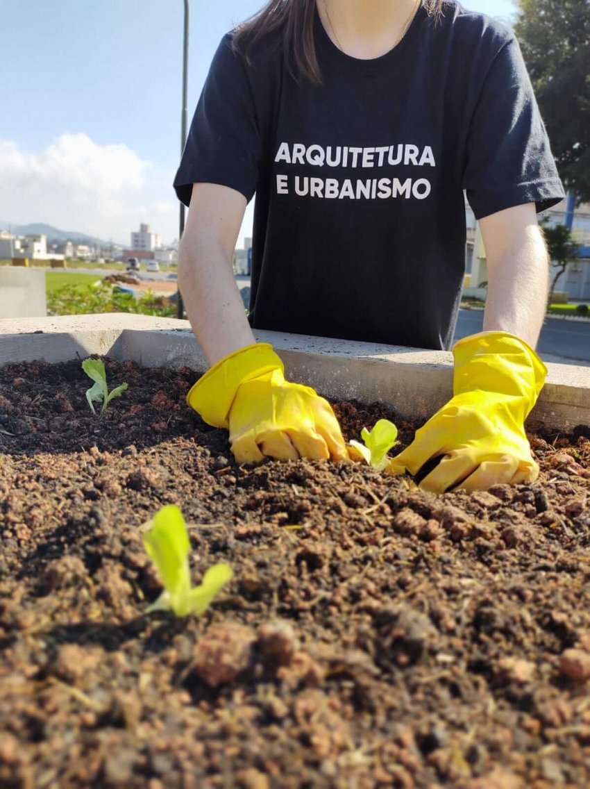 Horta comunitária da UNIFEBE recebe o primeiro plantio