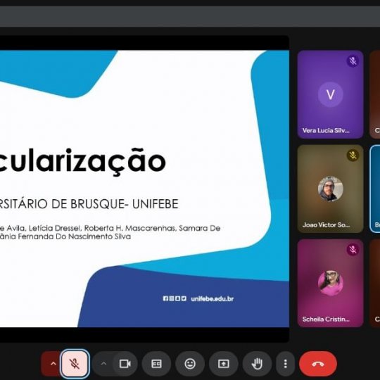 Imagem do WhatsApp de 2025-05-14 a(s) 19.59.43-9e458a62