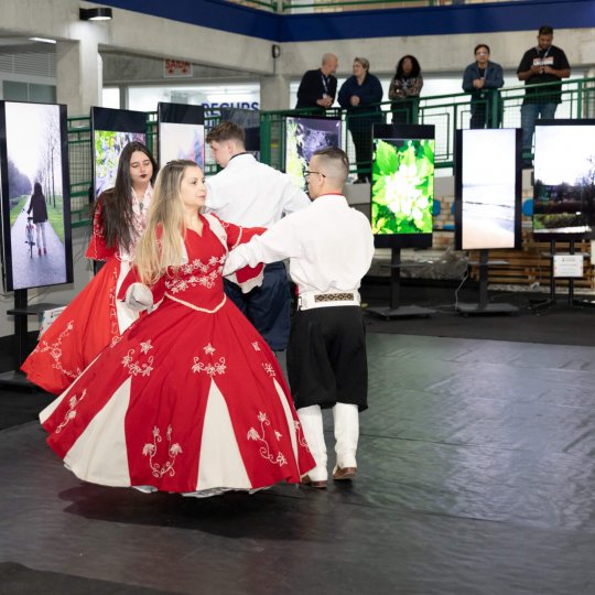 IMG-0602