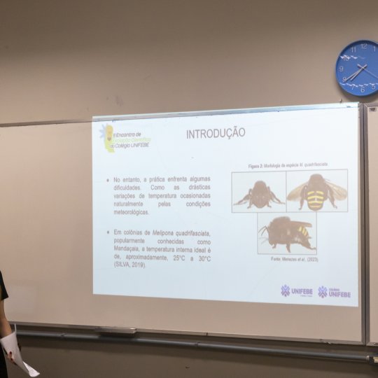 IMG-1681