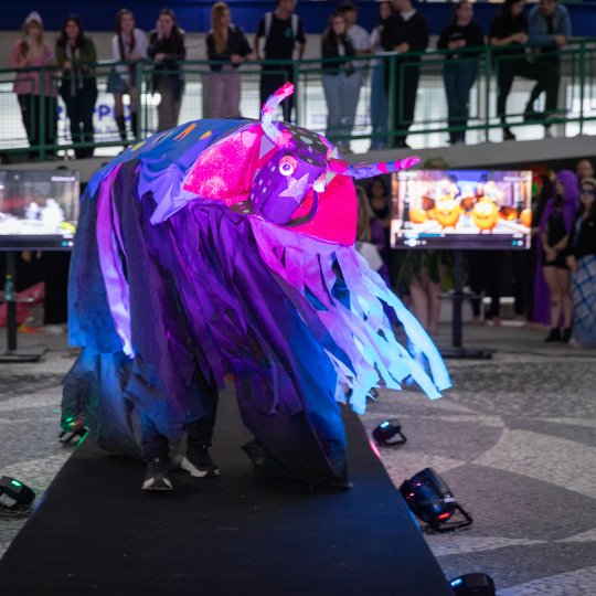 IMG-5422