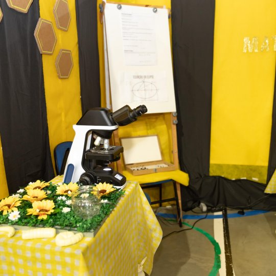 IMG-8361