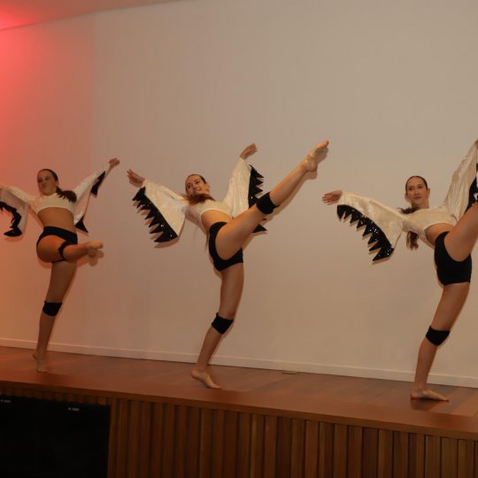 IMG-9499