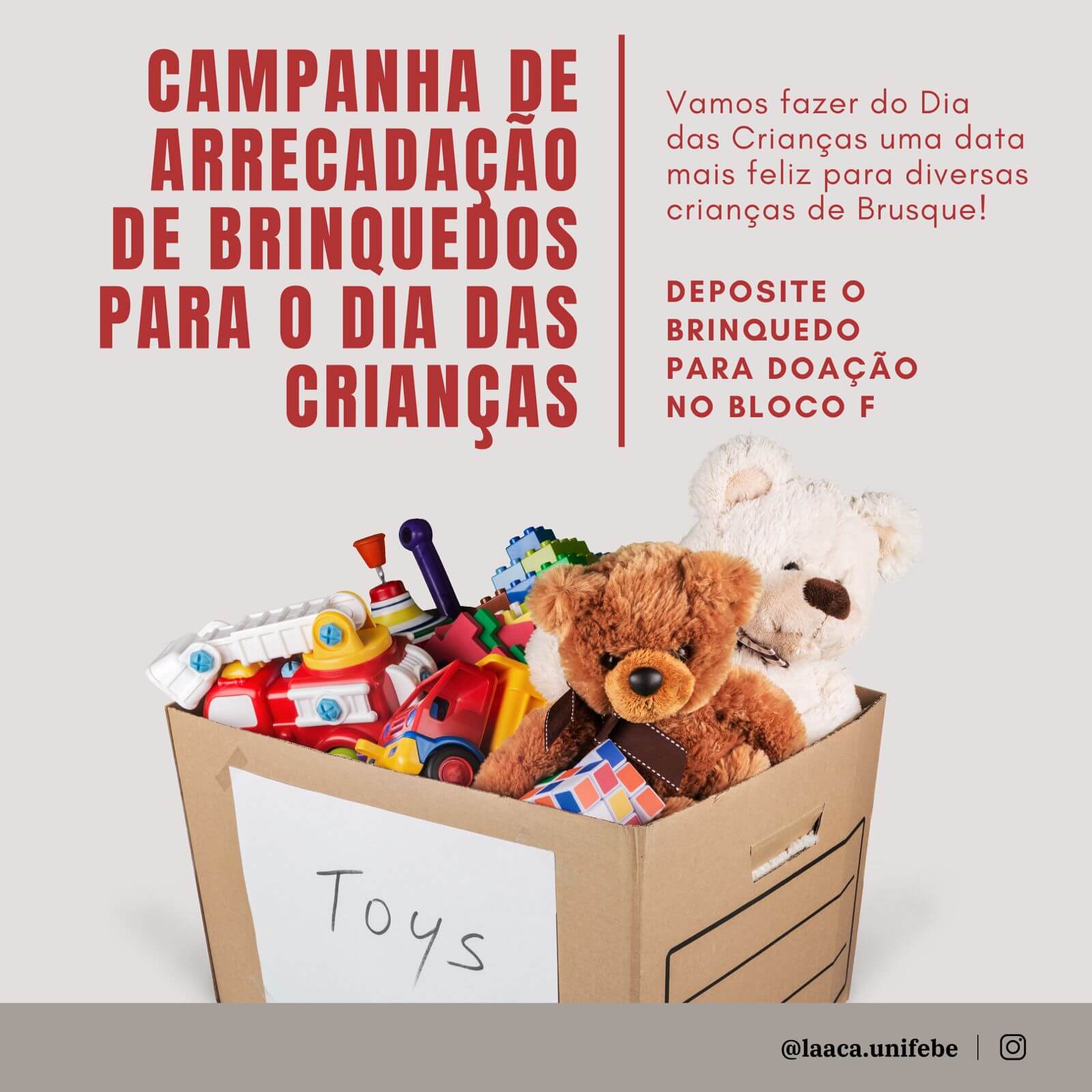 Liga Acadêmica de Anatomia da UNIFEBE realiza campanha de arrecadação de brinquedos para crianças