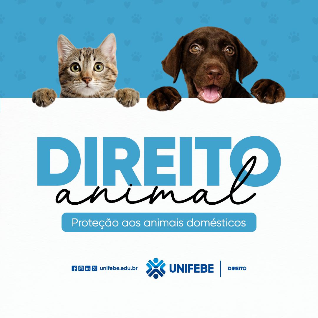 Direito UNIFEBE promove campanha solidária em prol de ONGs de proteção animal