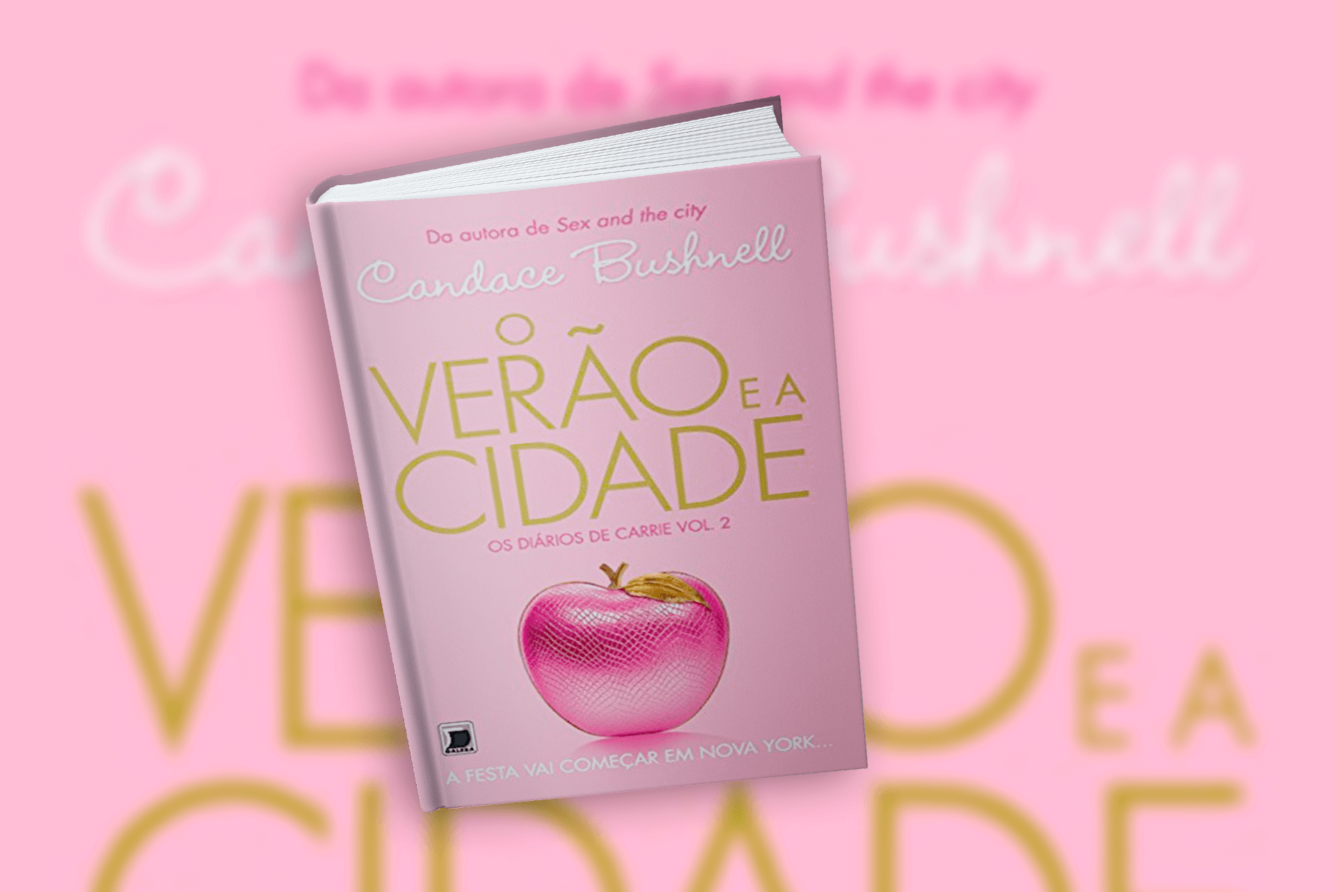 O verão e a cidade (os diários de Carrie 2)