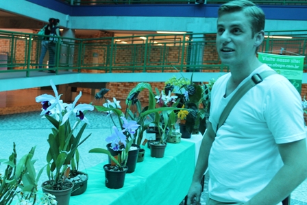 Exposição de Orquídeas atrai olhares do público