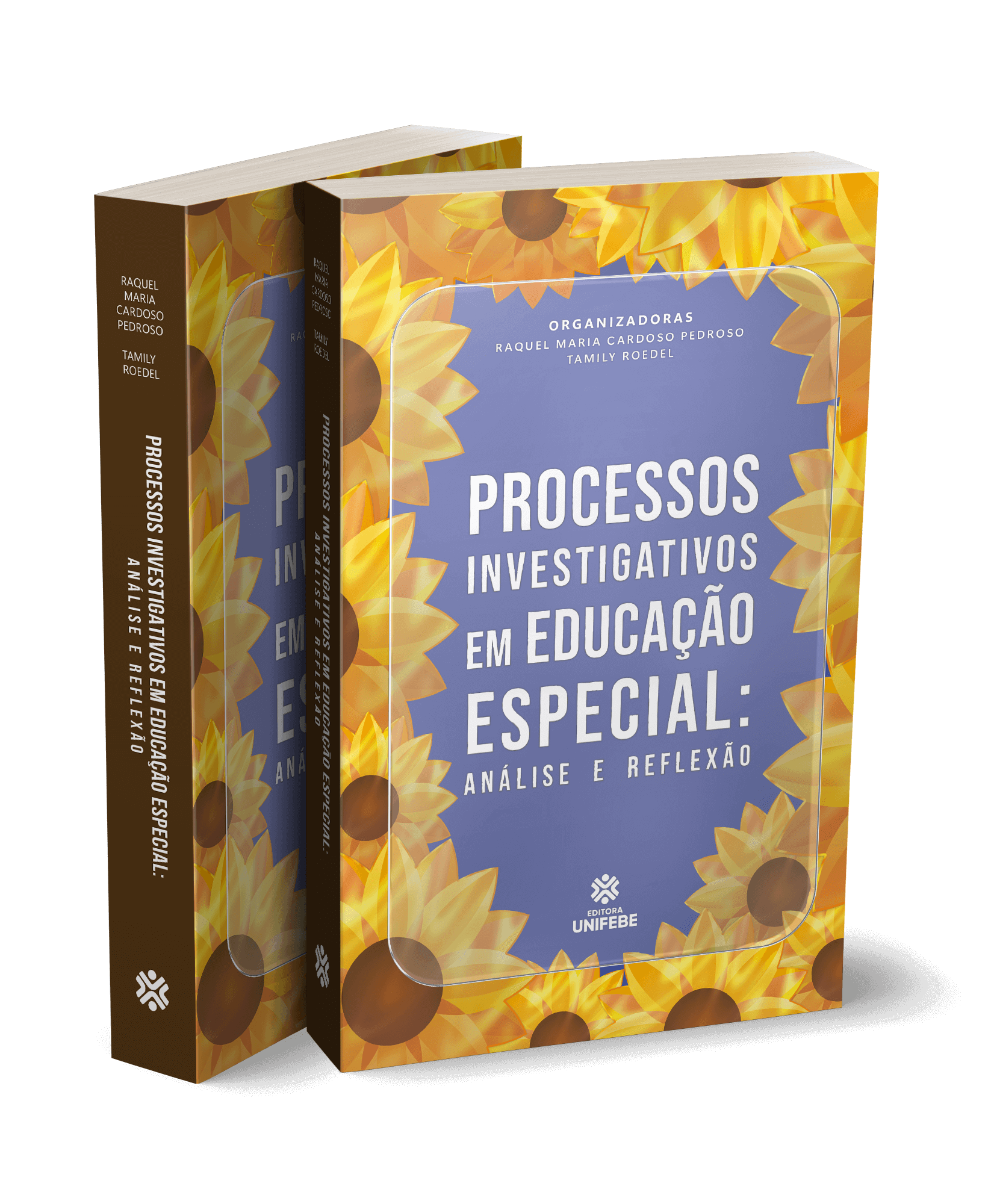 mockup – processos investigativos