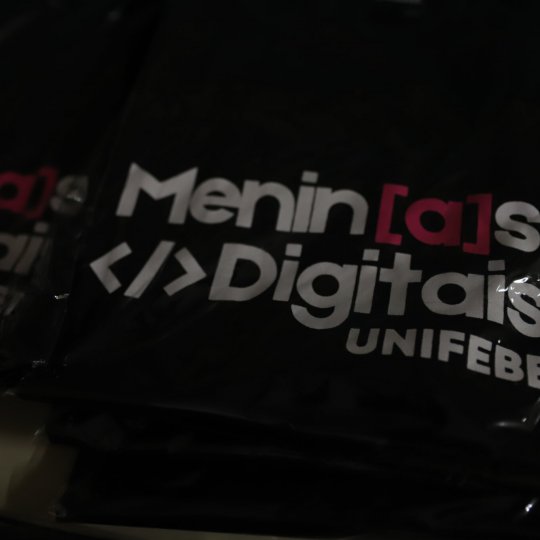 Meninas Digitais Sistemas de Informação (4)