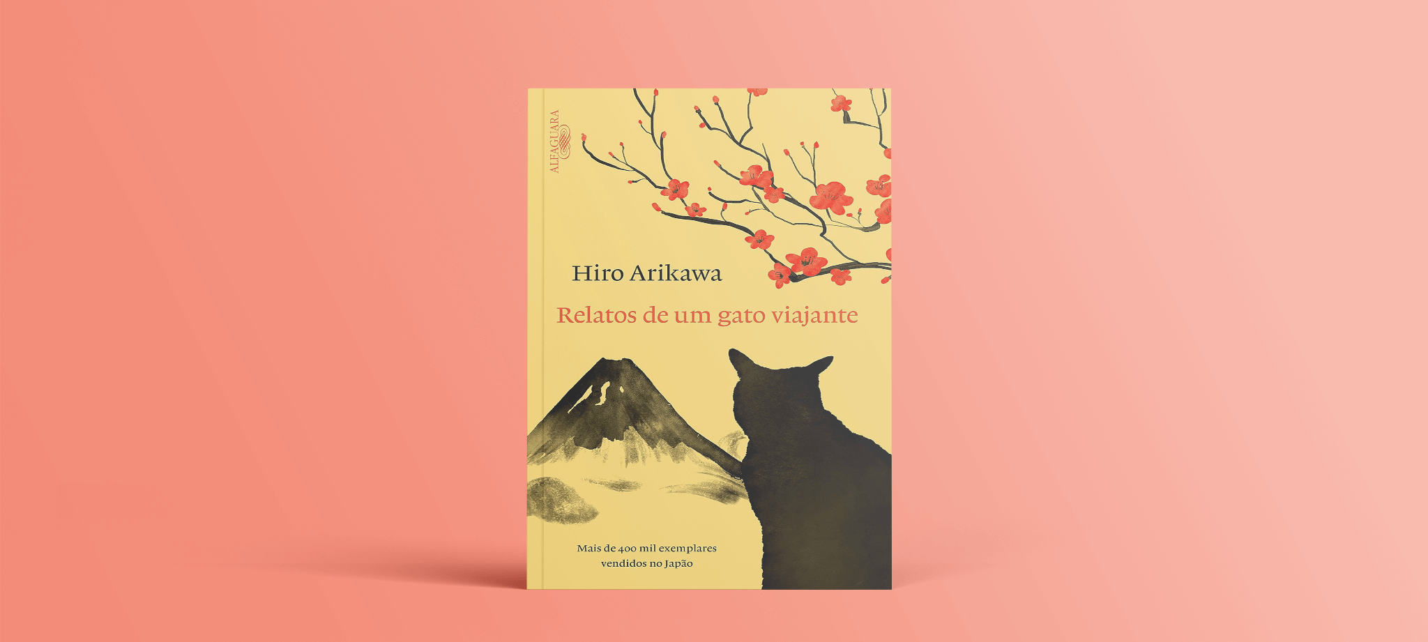 Relatos de um gato viajante