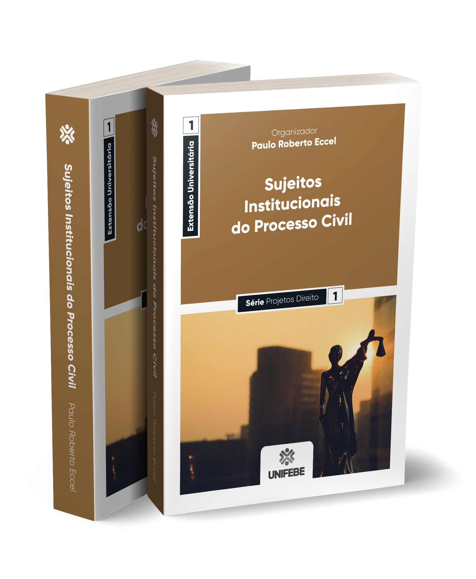 sujeitos institucionais do processo civil capa