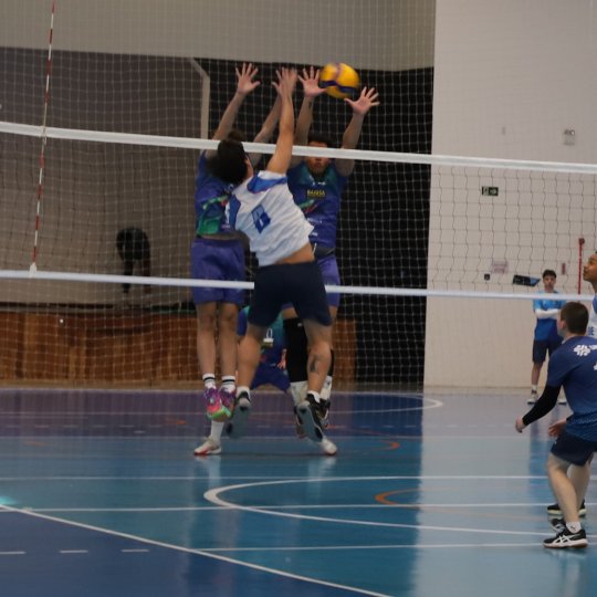 IMG-6613
