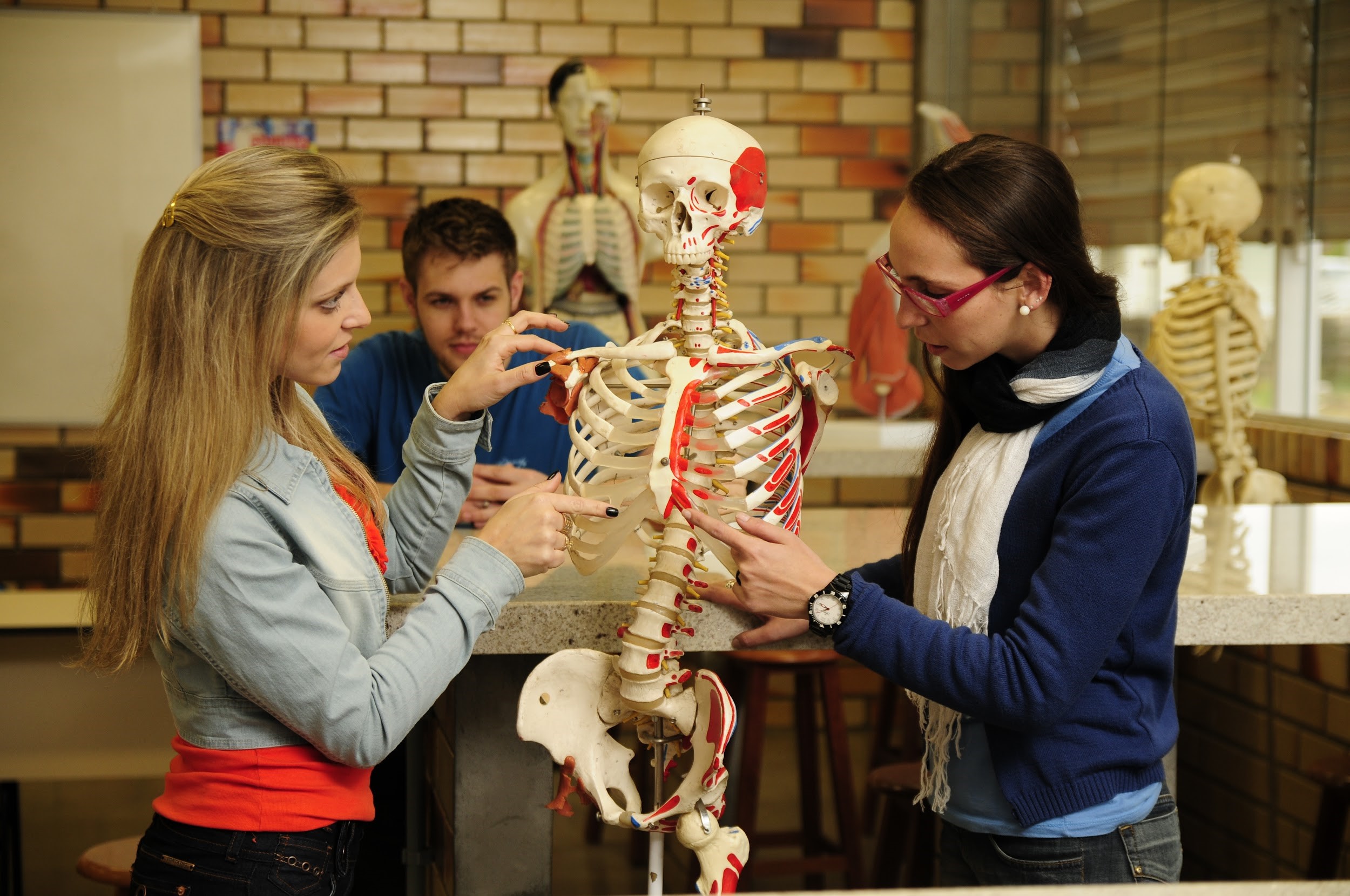 Vantagens de estudar em um colégio universitário