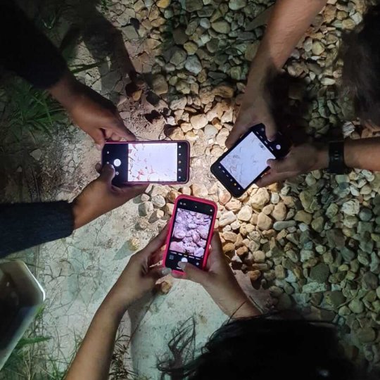 WhatsApp Image 2025-07-05 at 22.47.47