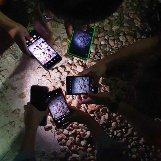 WhatsApp Image 2025-07-05 at 22.47.51