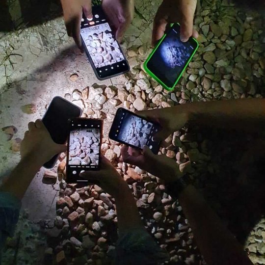 WhatsApp Image 2025-07-05 at 22.47.52
